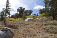 Typical view on our cross-country route