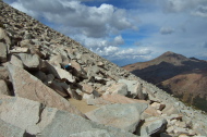 Frank enjoys descending on the rocks more than mucking in the sand.