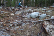 Hiking through a trail-less forest