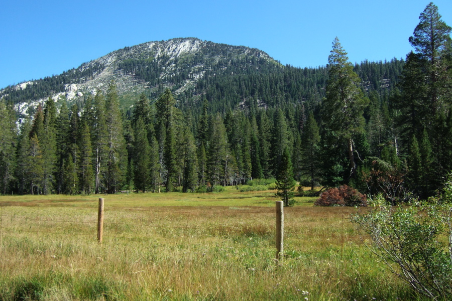 Red's Meadow