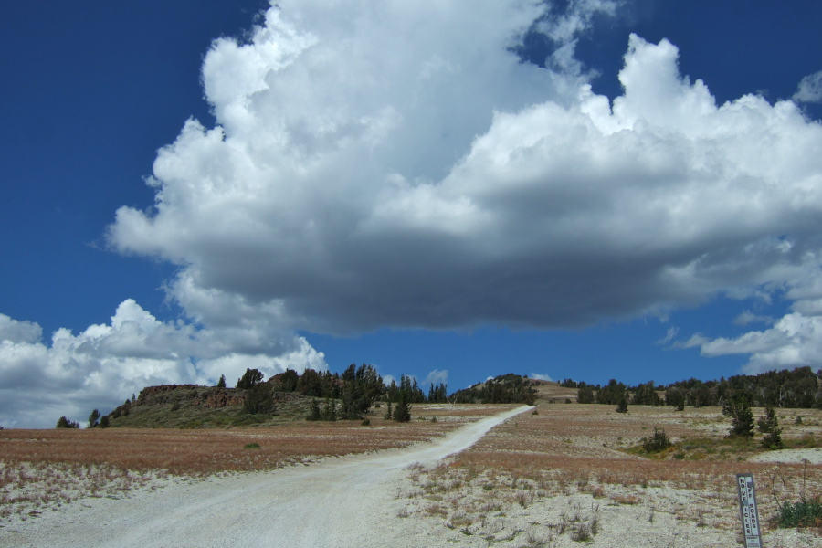 San Joaquin Ridge Road runs straight up the ridge here.