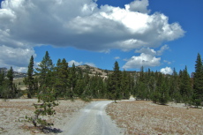 View up the Ridge