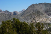 Previous