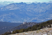 Previous