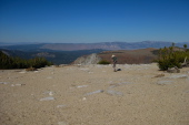 Bill walks across the expanse.