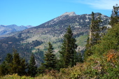 Two Teats from Minaret Rd.