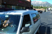 Stopping at Vons for supplies