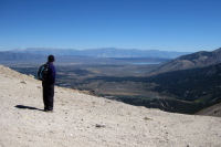 Stella casts her gaze over the Long Valley Caldera.