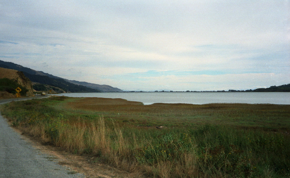Bolinas Lagoon