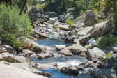 At least the water was low in the South Fork Stanislaus River.