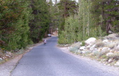 Ron climbs the last mile up to Mosquito Flat.