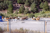 Dog-sled dogs tied to their huts.