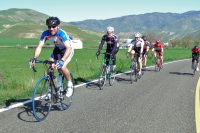 Passing a team near Lonoak.