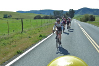 Janet Martinez leads the MVVVSRT team.