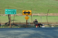 Cara Coburn snaps a photo at the starting line.