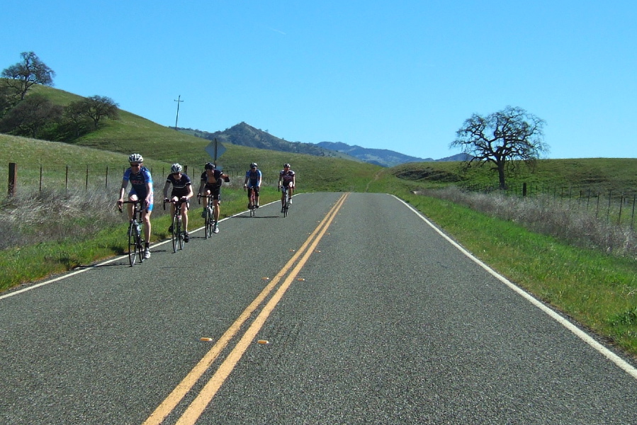 Here come the rest of the Sisters and Misters.