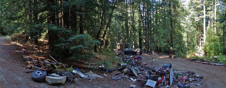 Assorted junk and detritus