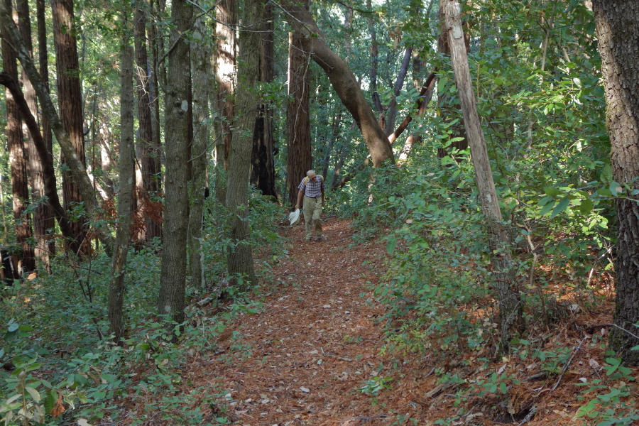 David climbs up Michael's Summit Loop trail.