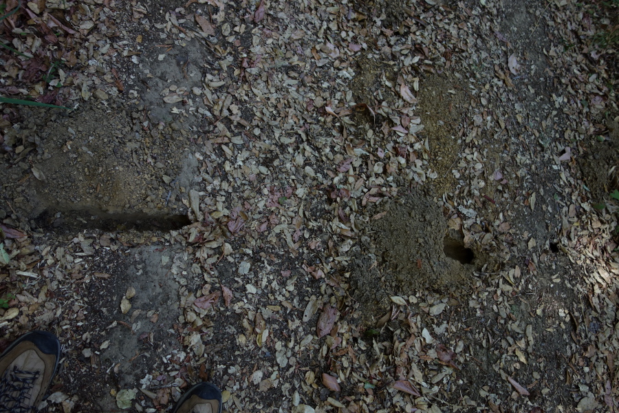 Three holes in-line