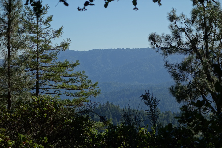 Ben Lomond Ridge from Michael's Summit