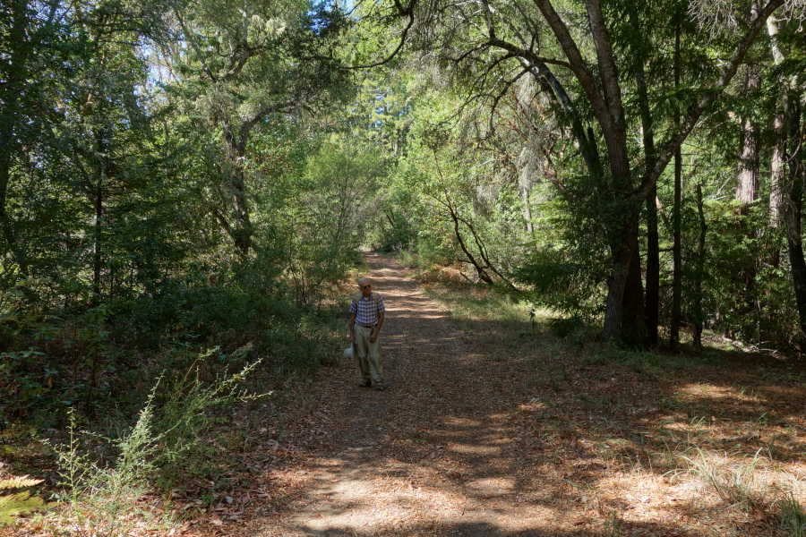 Kings Creek Truck Trail where it runs along the ridge