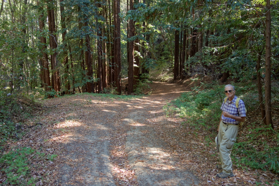 Kings Creek Truck Trail descends to Kings Creek.