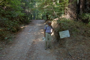 David considers this sign posted near the bottom of the road.