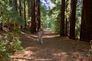 David on the climb up the Kings Creek Truck Trail