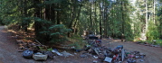 Assorted junk and detritus