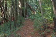 David climbs up Michael's Summit Loop trail.