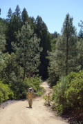 David heads down to the junction with Michael's Summit Loop trail.