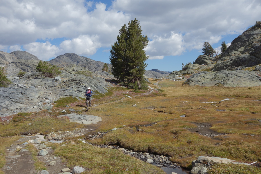 Frank on the trail to Iceberg Lake