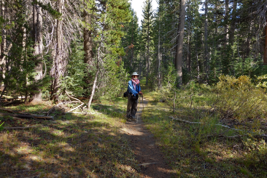 Below Minaret Lake we have a long walk through the forest to Devil's Postpile trailhead.