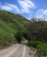 Along the lower reach of Mill Creek Rd. (540ft)