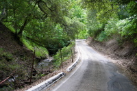 Mill Creek Rd. climbing alongside Mill Creek. (900ft)