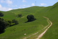 Eagle Creek trail looking up toward the backpackers' camp and the summit of Mt. Allison.  (2100ft)