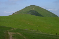 South ridge of Mission Peak from the slopes of Mt. Allison. (2420ft)