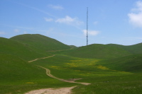 The road between Mt. Allison and Monument Peak. (2360ft)
