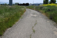 Bike path between McCarthy Ranch and Zanker, north of CA237 (10ft)