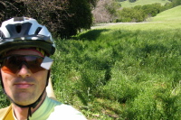 More overgrown trail. (700ft)