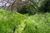 A clear path ahead. (700ft)