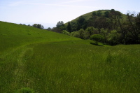 Calera Creek Trail. (650ft)