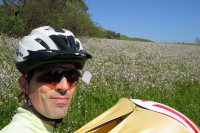 Wildflowers along Calera Creek Trail near the swampy section. (580ft)