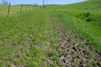 More cattle-holes! (620ft)