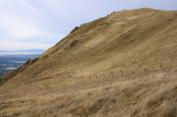 Mission Peak, west face from the south (2200ft)