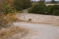 Crouched lioness waiting to pounce. (500ft)