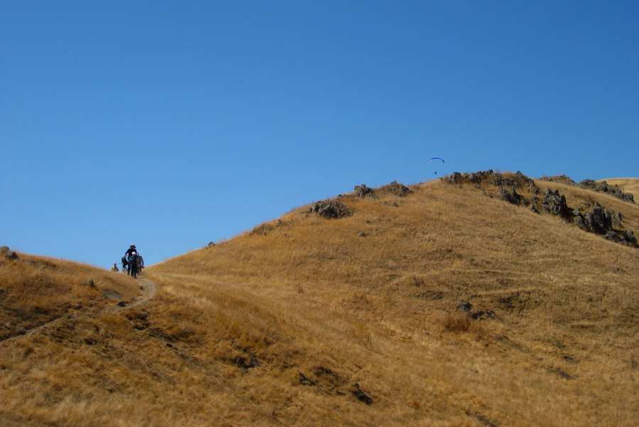 Stella stops on the trail to look back and sees a giant bearing down on her.