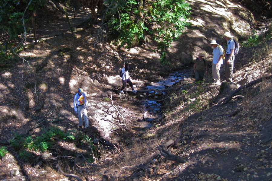 Michi crosses Laurel Creek while Zach looks for an easier way.