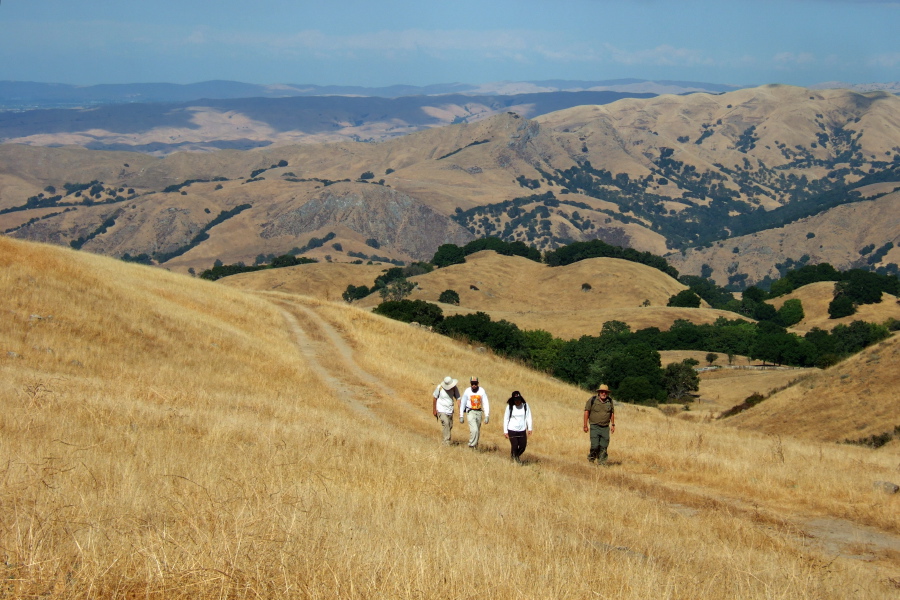 Ron, Michi, Zach, and David climb the Ranch Trail.