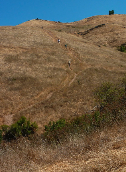 View up the steepest part of the climb.